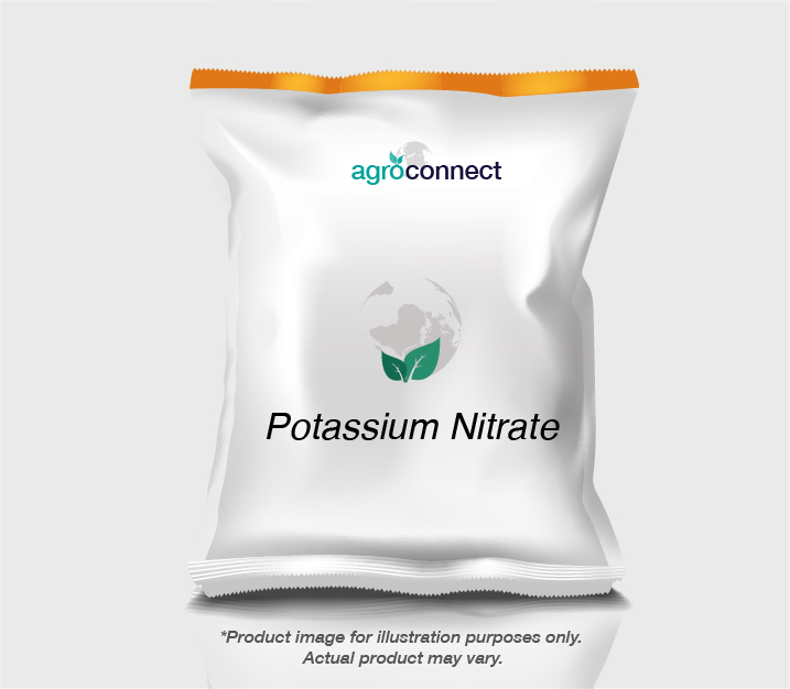1551687267.Potassium Nitrate-08.jpg